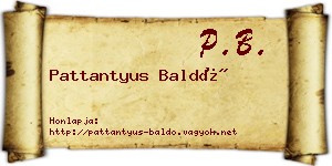 Pattantyus Baldó névjegykártya